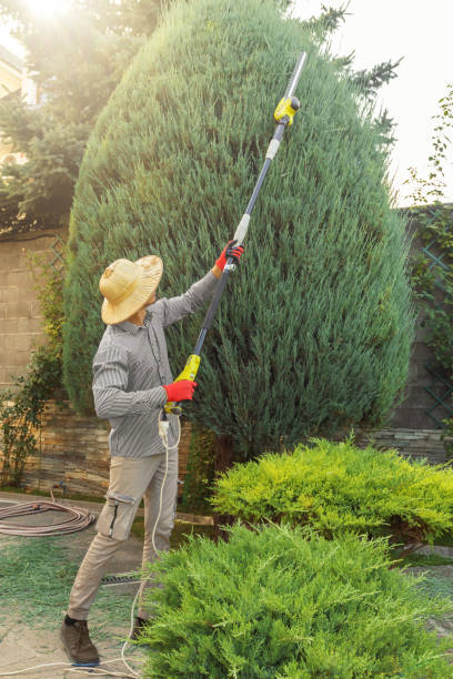 Lawn Pest Prevention in Great Neck Gardens, NY